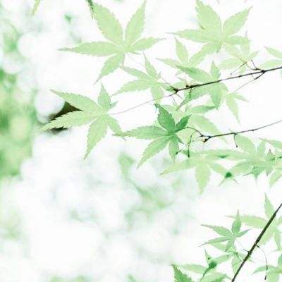 碳中和50ETF国泰（159861）涨1.11%，成交额434.46万元